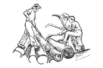 Legno